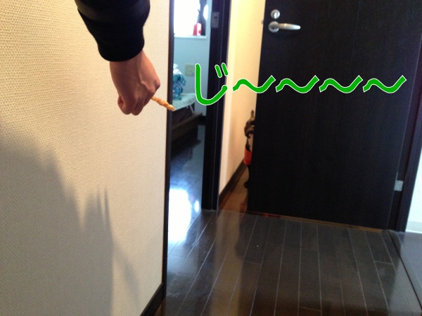 お留守番フレンチブルドッグちらんちゃ2