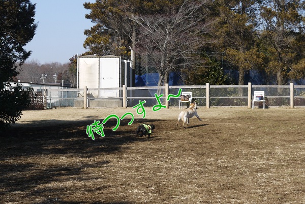 花粉症のため自粛~アンデルセン公園3