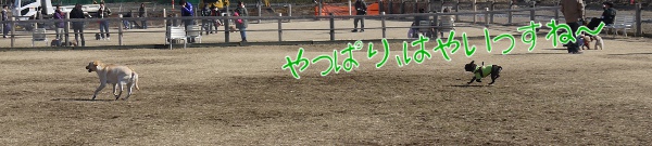 花粉症のため自粛~アンデルセン公園4