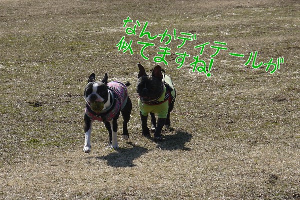 花粉症のため自粛~アンデルセン公園6