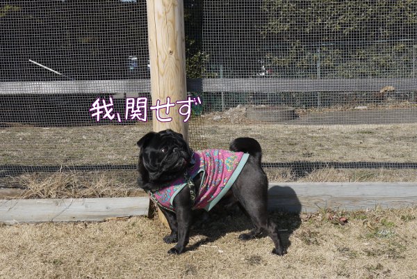 花粉症のため自粛~アンデルセン公園7