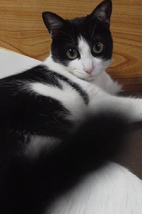 2013033009.jpg