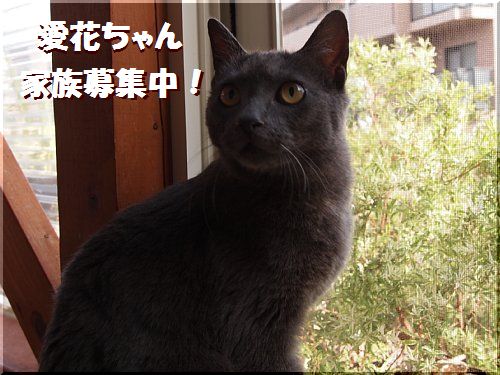 2013040505.jpg
