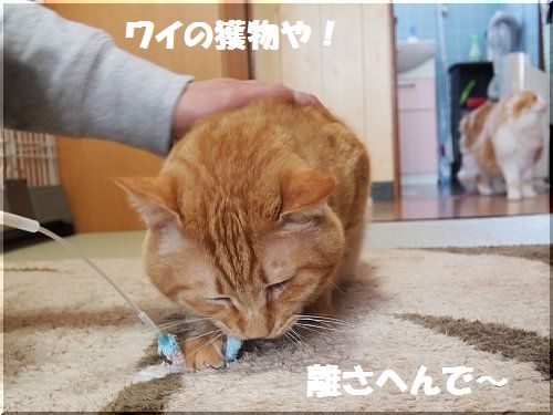 2013042107.jpg