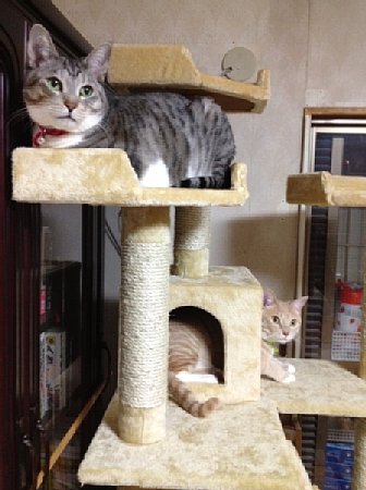 2013043002.jpg