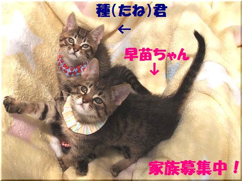 201305106.jpg