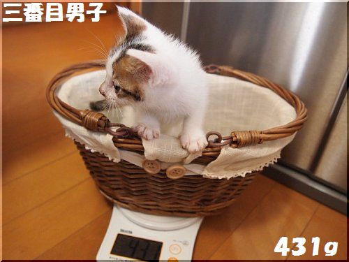 2013051204.jpg