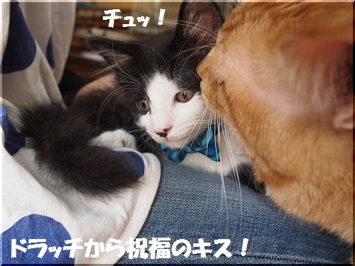 2013051608.jpg