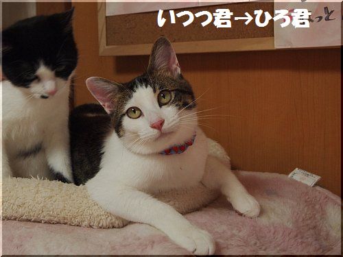 2013051903.jpg