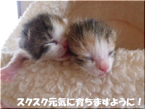 2013052205.jpg