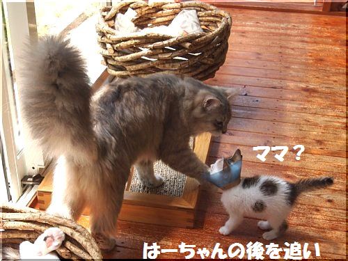 2013052604.jpg
