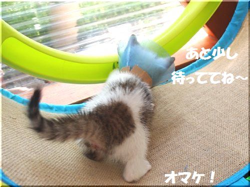 2013052608.jpg