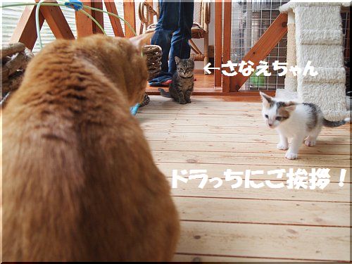 2013052903.jpg
