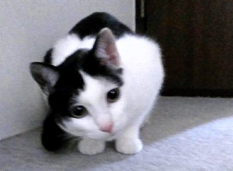 2013060107.jpg