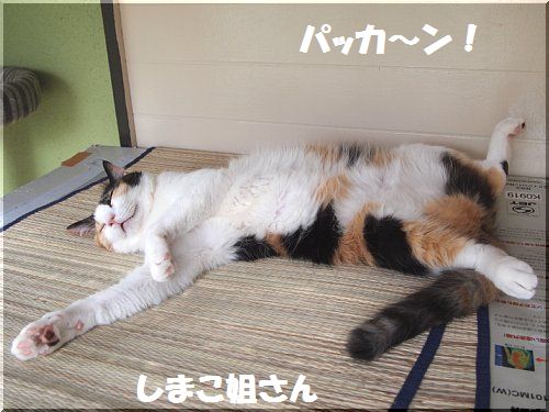 2013060507.jpg