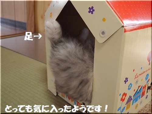 2013061405.jpg