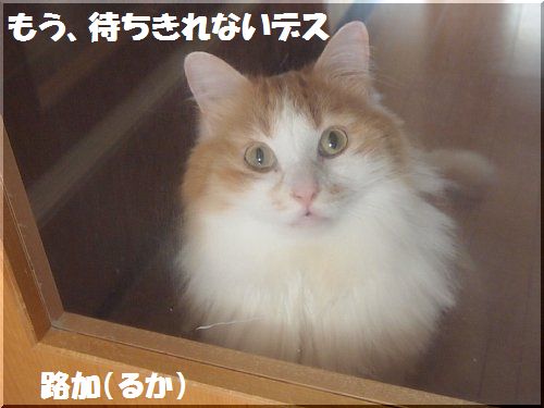 2013062105.jpg