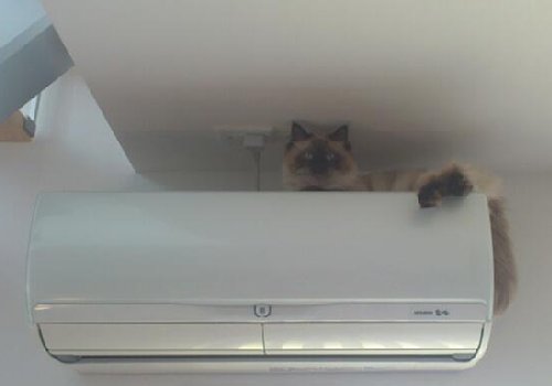 2013062708.jpg