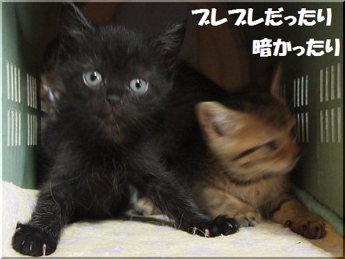 2013070603.jpg