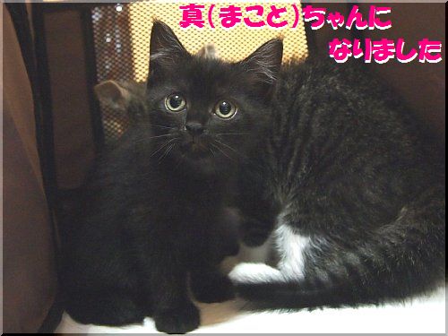 2013070605.jpg