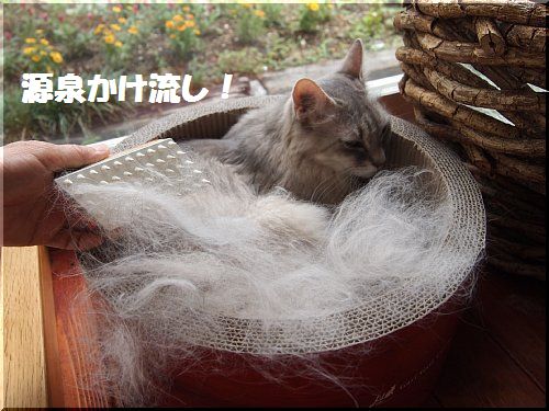 2013071705.jpg