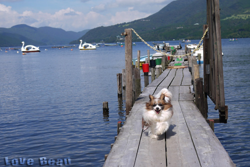2011-0010-05-2.jpg