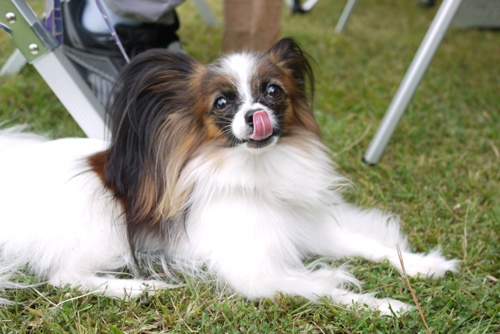 2011-0010-09-10.jpg