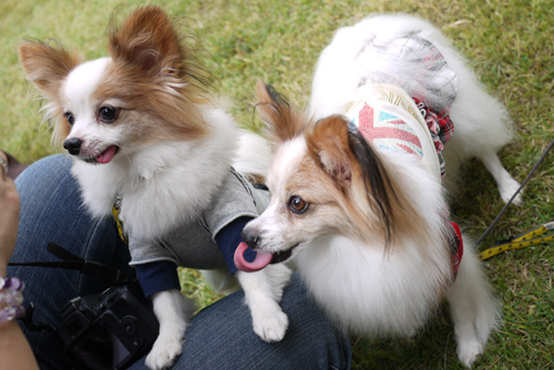 2011-0010-09-13.jpg