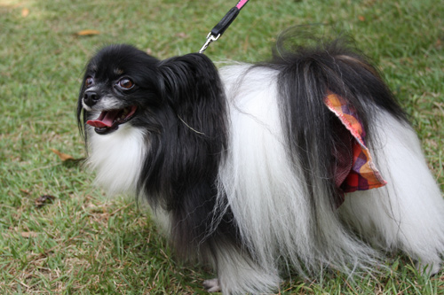 2011-0010-09-15.jpg