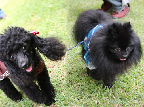 2011-0010-09-16.jpg