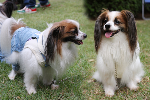 2011-0010-09-2.jpg