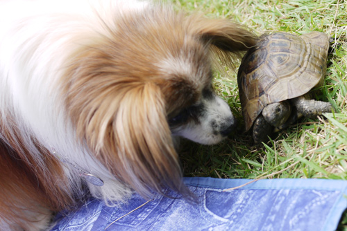 2011-0010-09-26.jpg