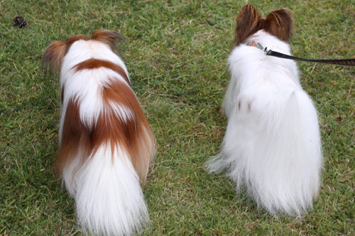 2011-0010-09-36.jpg