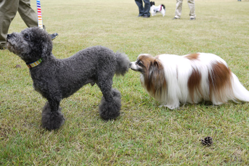 2011-0010-09-6.jpg