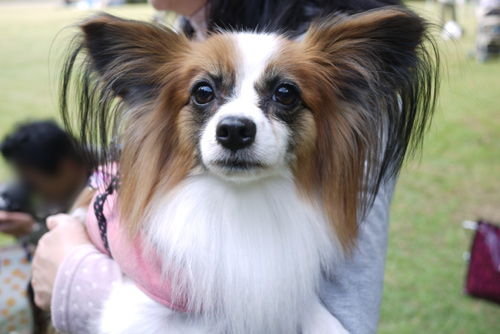 2011-0010-09-61.jpg