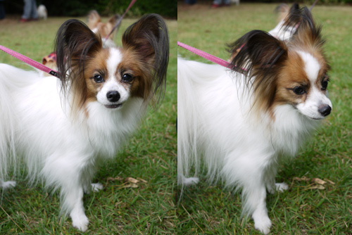 2011-0010-09-64.jpg