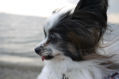 2011-0010-09-69.jpg
