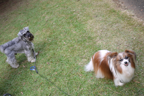 2011-0010-09-71.jpg