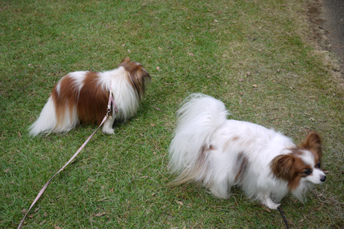 2011-0010-09-72.jpg