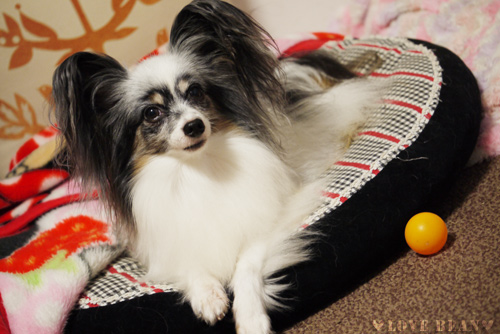 2011-0010-23-11.jpg