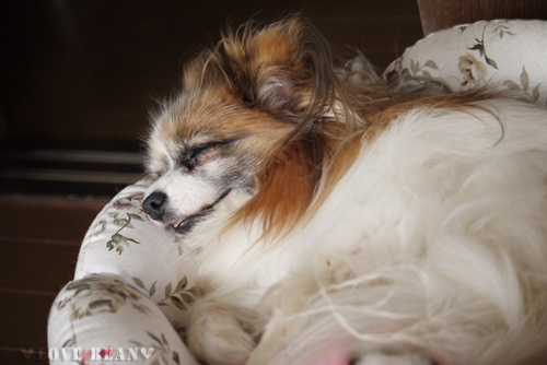 2011-0010-23-4.jpg