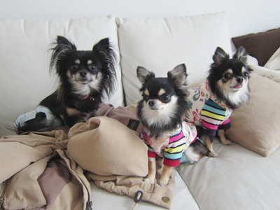 20130201a.jpg