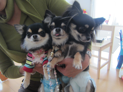 20130201b.jpg