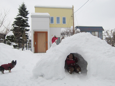 20130201e.jpg