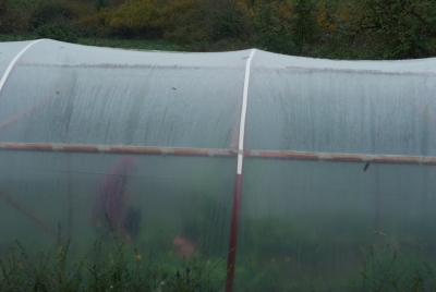december 2013 22