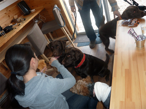 P1160757_20130308133925.gif