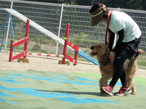 P1170478.gif