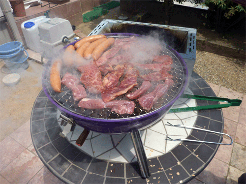 P1170535.gif