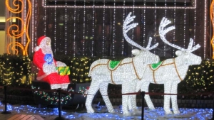 メリー・クリスマス