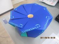 IMG_2853.jpg